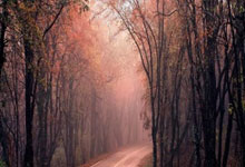 争冠热门！火箭、雄鹿涉及7换2交易，申京、白魔等人变成筹码