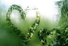 开拓者队换帅调整阵容，力争季后赛