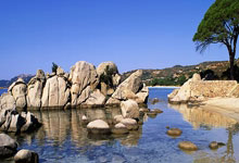 太阳队稳扎稳打，季后赛表现令人瞩目卫冕机会渐近